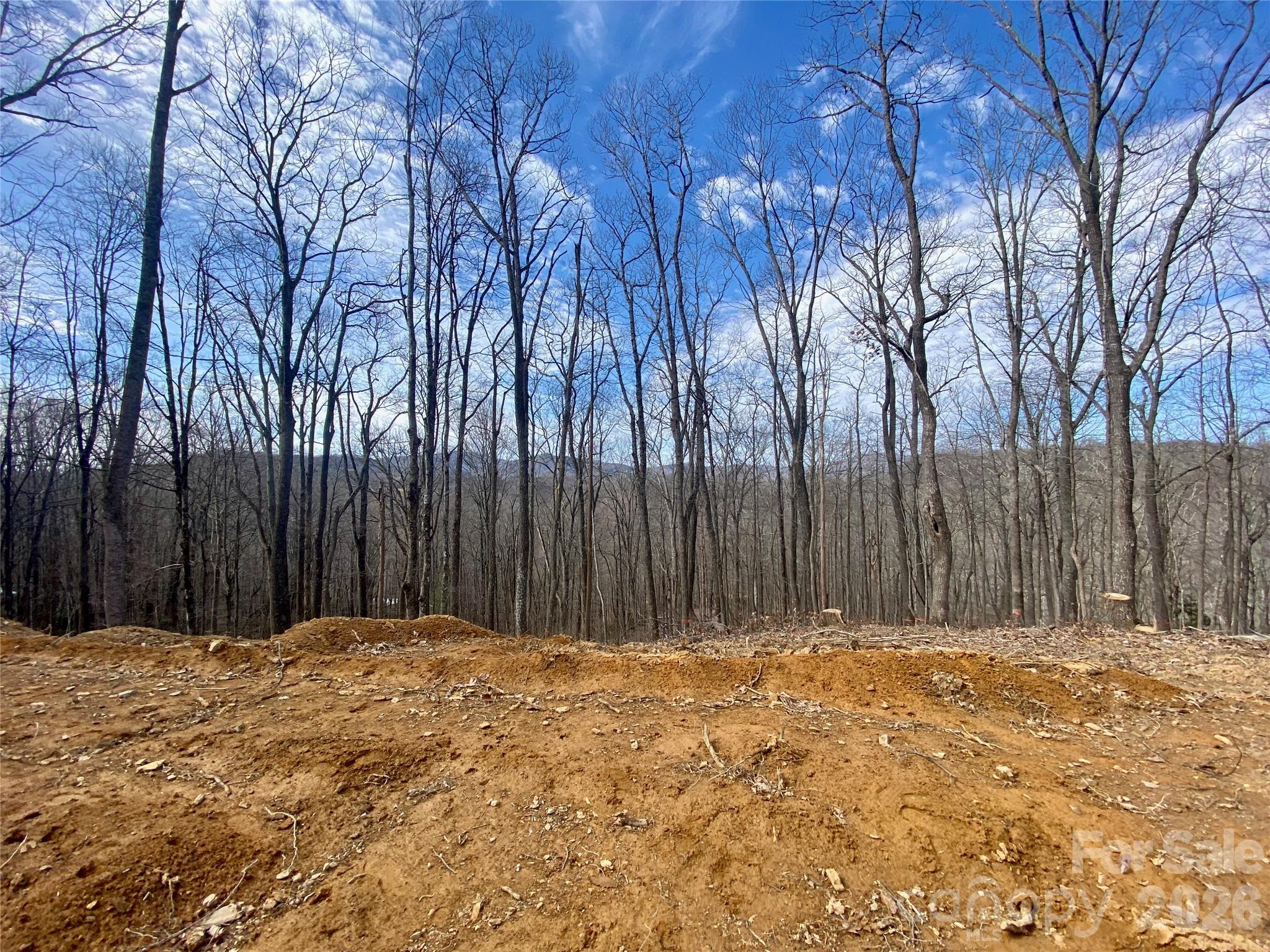 Tbd Old Chestnut Mountain Road Newland, NC 28657 - Photo 23 of 33 a view of a backyard with large trees