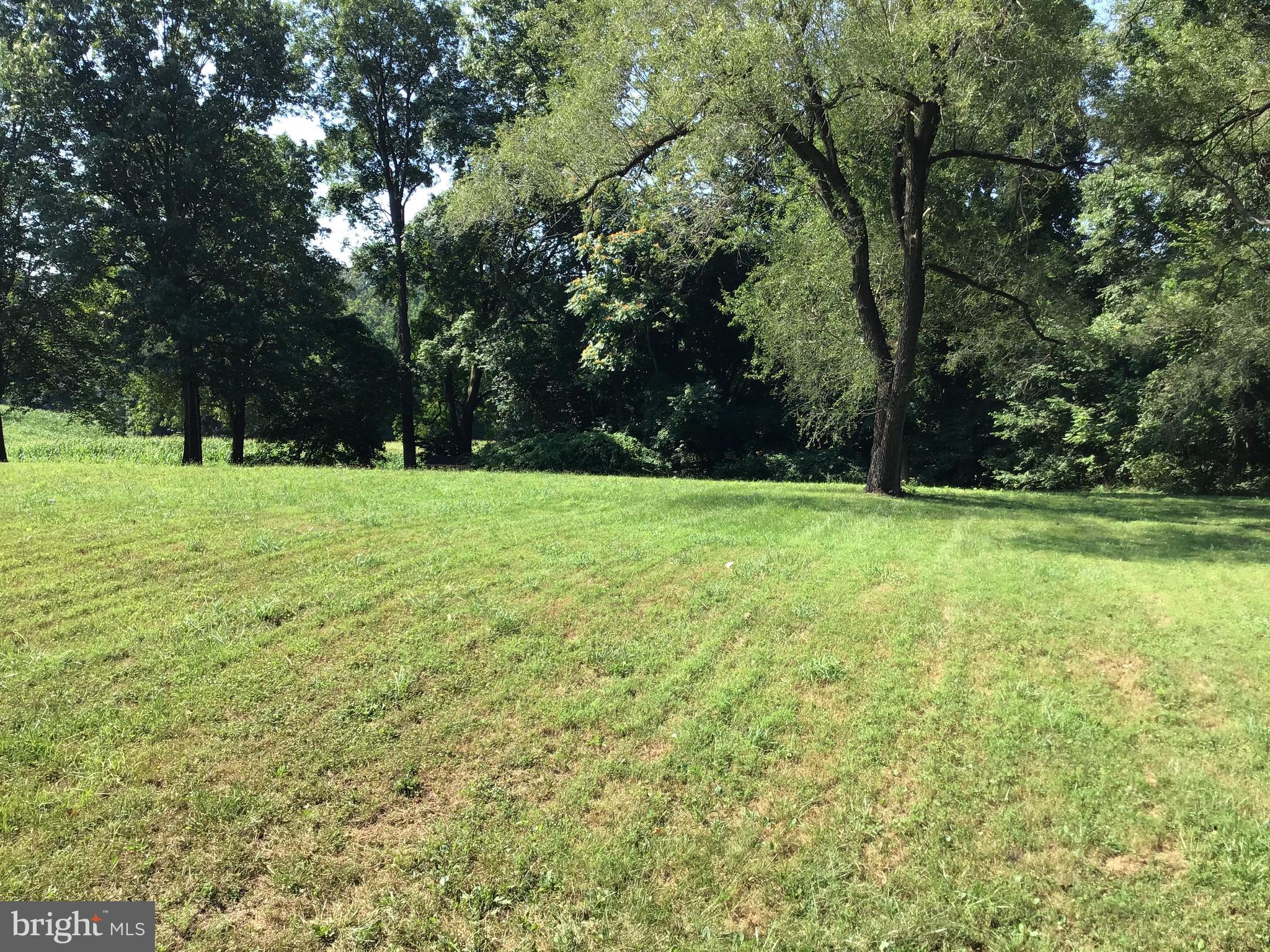 14511 Liberty Road Mount Airy, MD 21771 - Photo 3 of 19 Wide open back yard