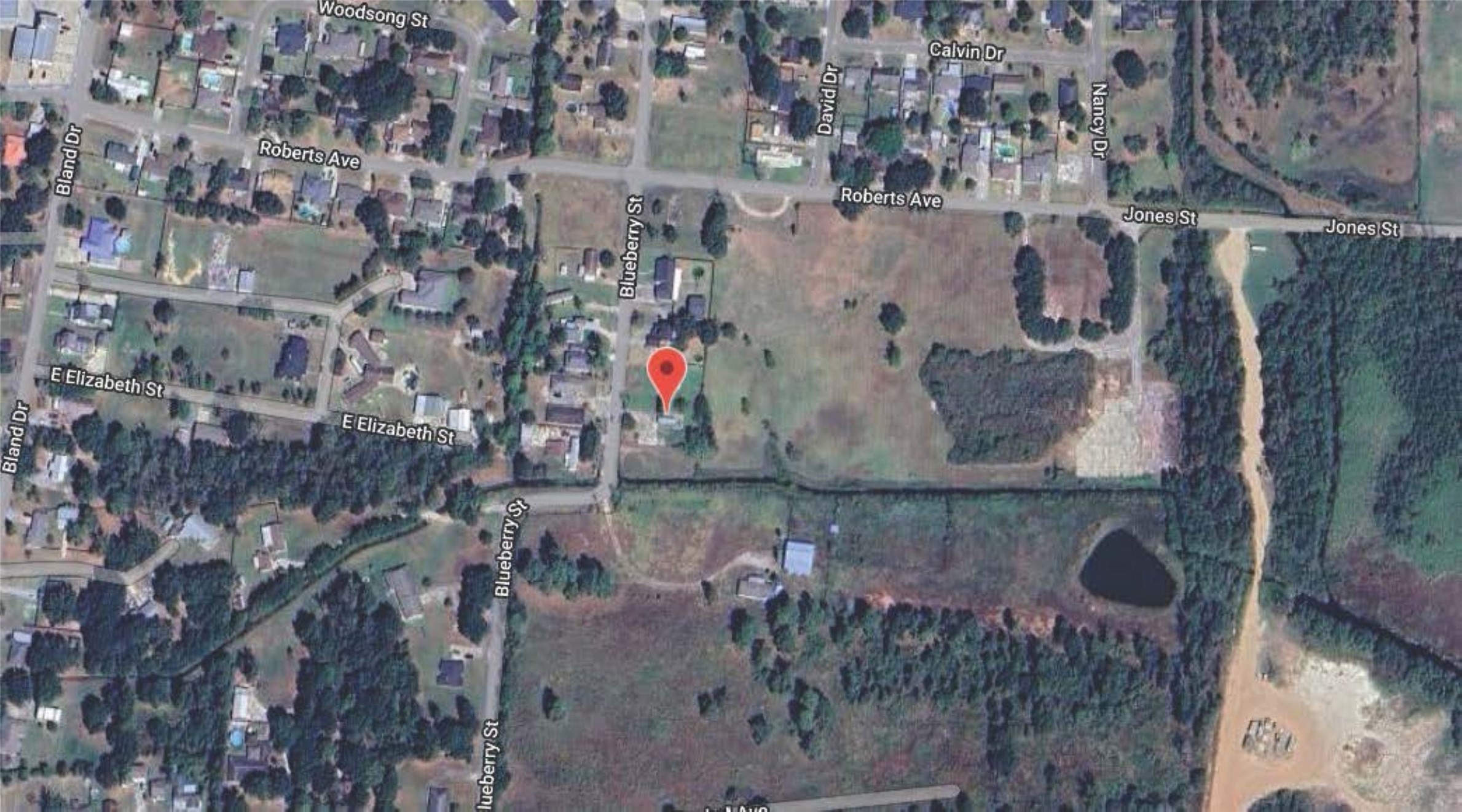 435 Blueberry Street Bridge City, TX 77611 - Photo 3 of 4