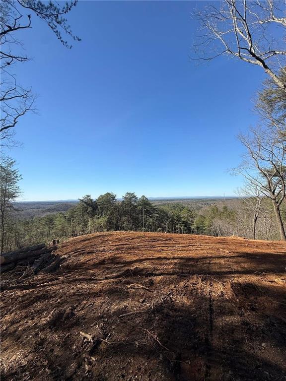 710 Railey Ridge Ranger, GA 30734 - Photo 5 of 6