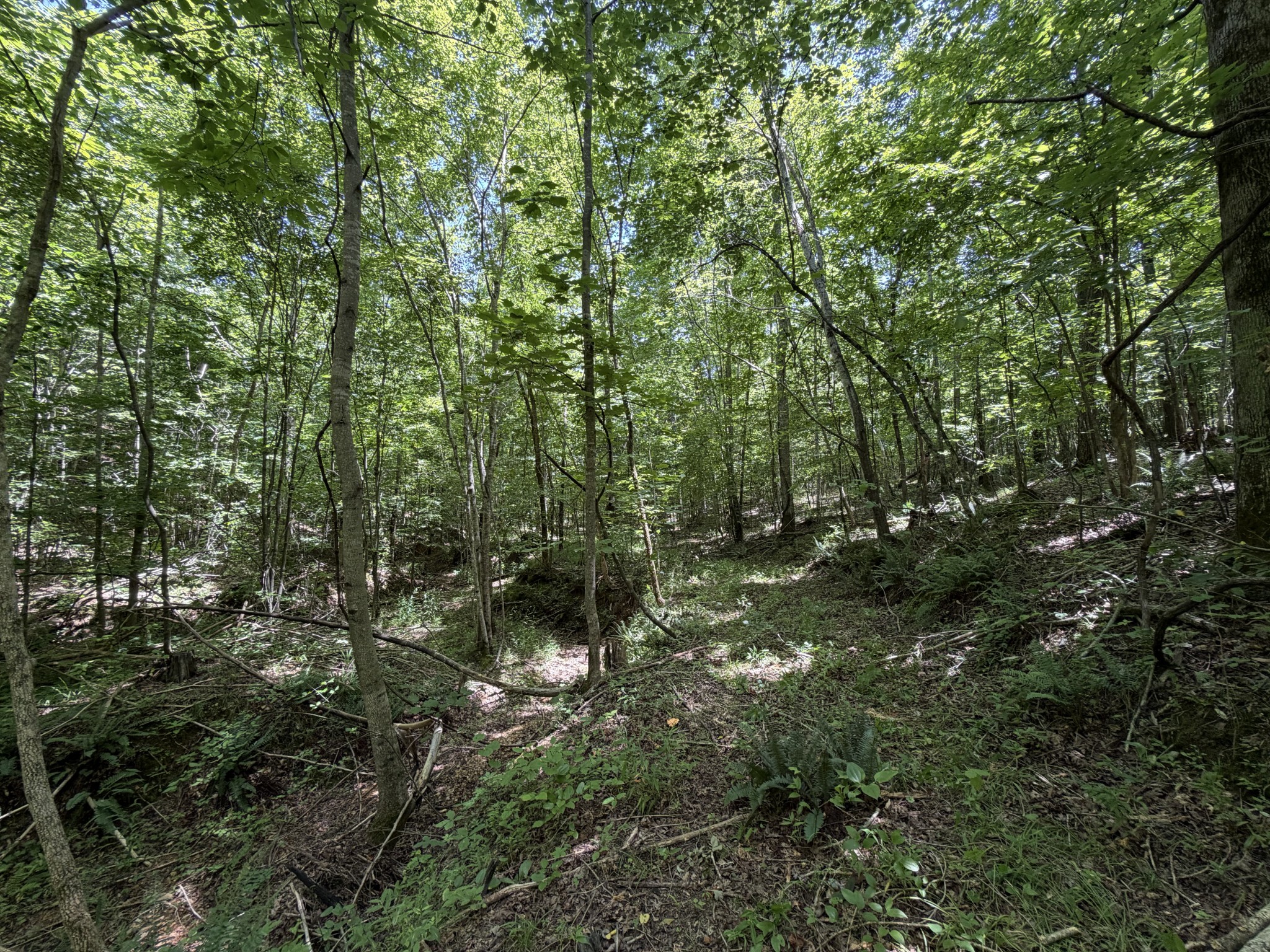 215 Bar Bee Road Hohenwald, TN 38462 - Photo 22 of 51
