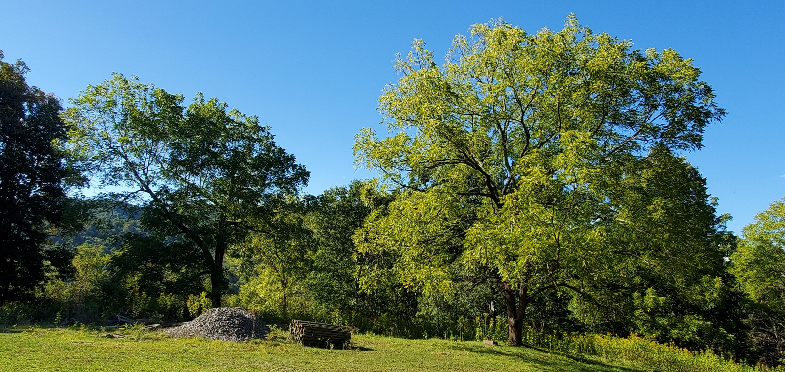 Davis Stuart Road Lewisburg, WV 24901 - Photo 18 of 72 Gallery Image 18