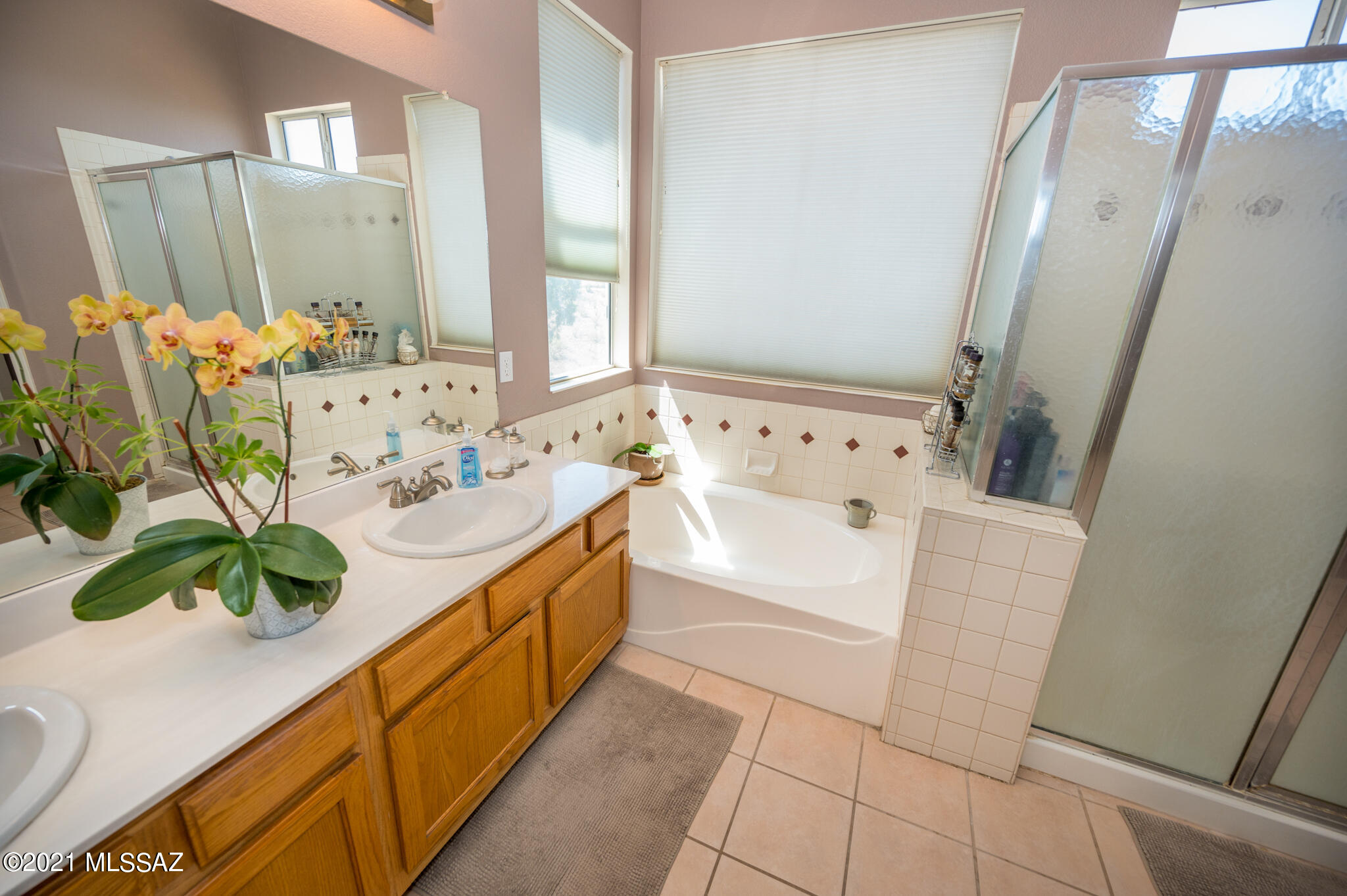 409 Camino Canoa Rio Rico, AZ 85648 - Photo 37 of 50