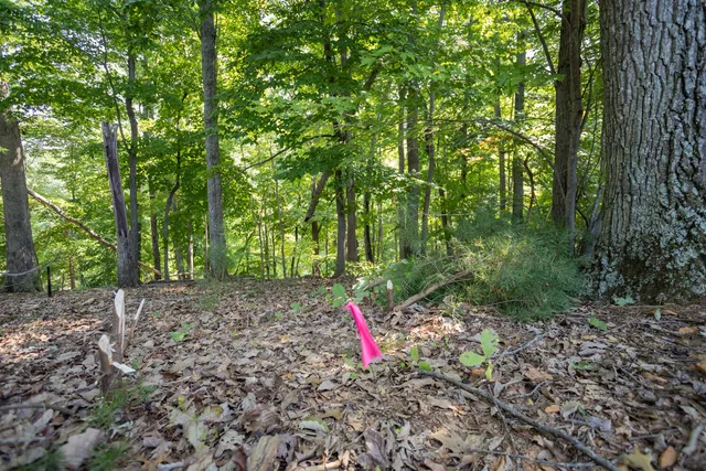 $219,950 | Lot 1 Sweetwater Bay Drive, Penhook, VA 24137