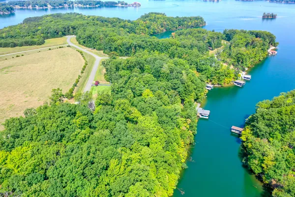 a view of a lake with a city view
