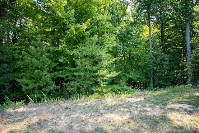 $219,950 | Lot 1 Sweetwater Bay Drive, Penhook, VA 24137