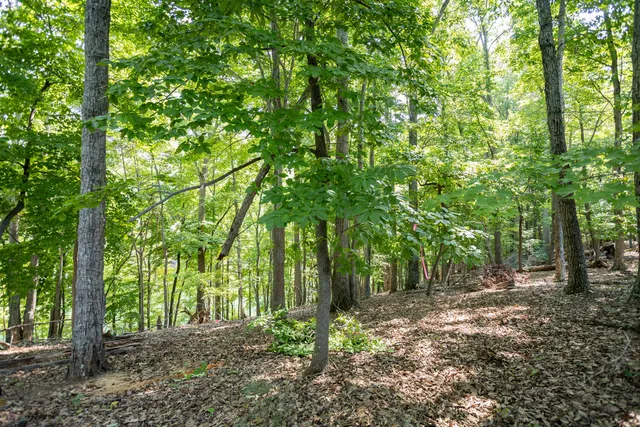 $219,950 | Lot 1 Sweetwater Bay Drive, Penhook, VA 24137