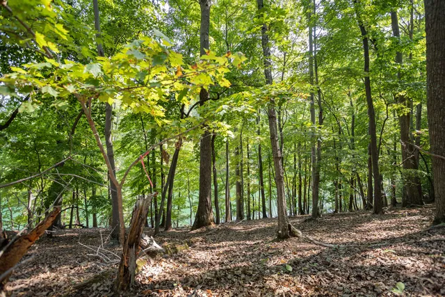 $219,950 | Lot 1 Sweetwater Bay Drive, Penhook, VA 24137