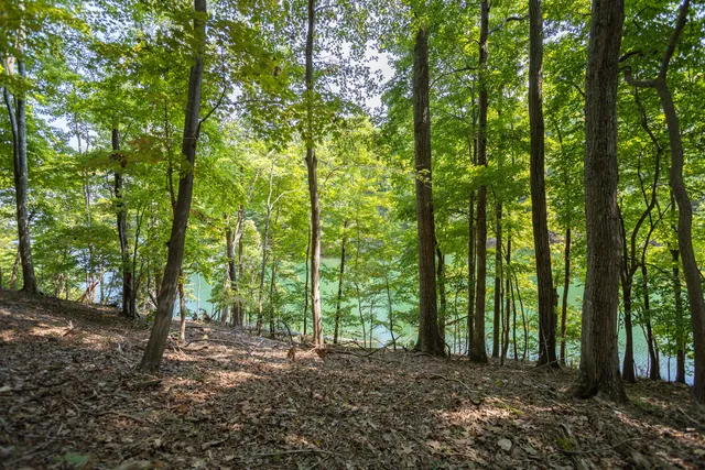 $219,950 | Lot 1 Sweetwater Bay Drive, Penhook, VA 24137