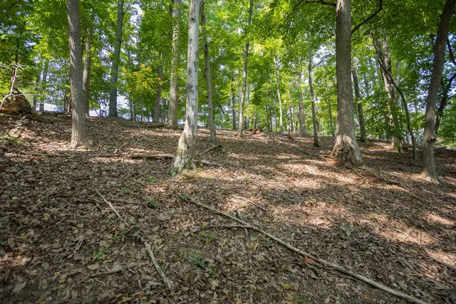 $219,950 | Lot 1 Sweetwater Bay Drive, Penhook, VA 24137