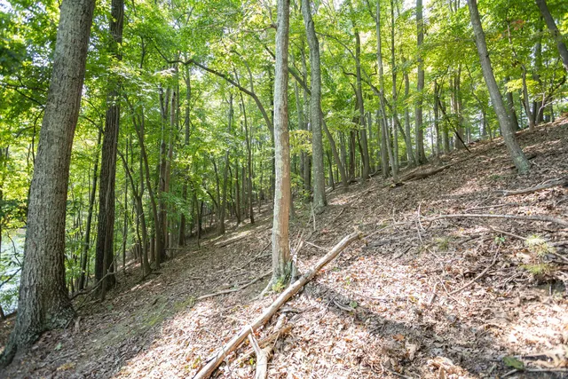 $219,950 | Lot 1 Sweetwater Bay Drive, Penhook, VA 24137