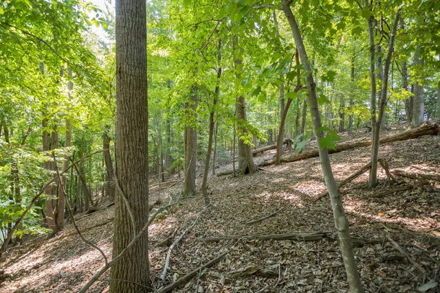 $219,950 | Lot 1 Sweetwater Bay Drive, Penhook, VA 24137