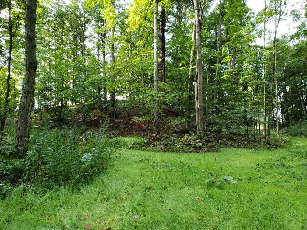 Solon Road Traverse City, MI 49684 - Photo 6 of 8 Gallery Image 6