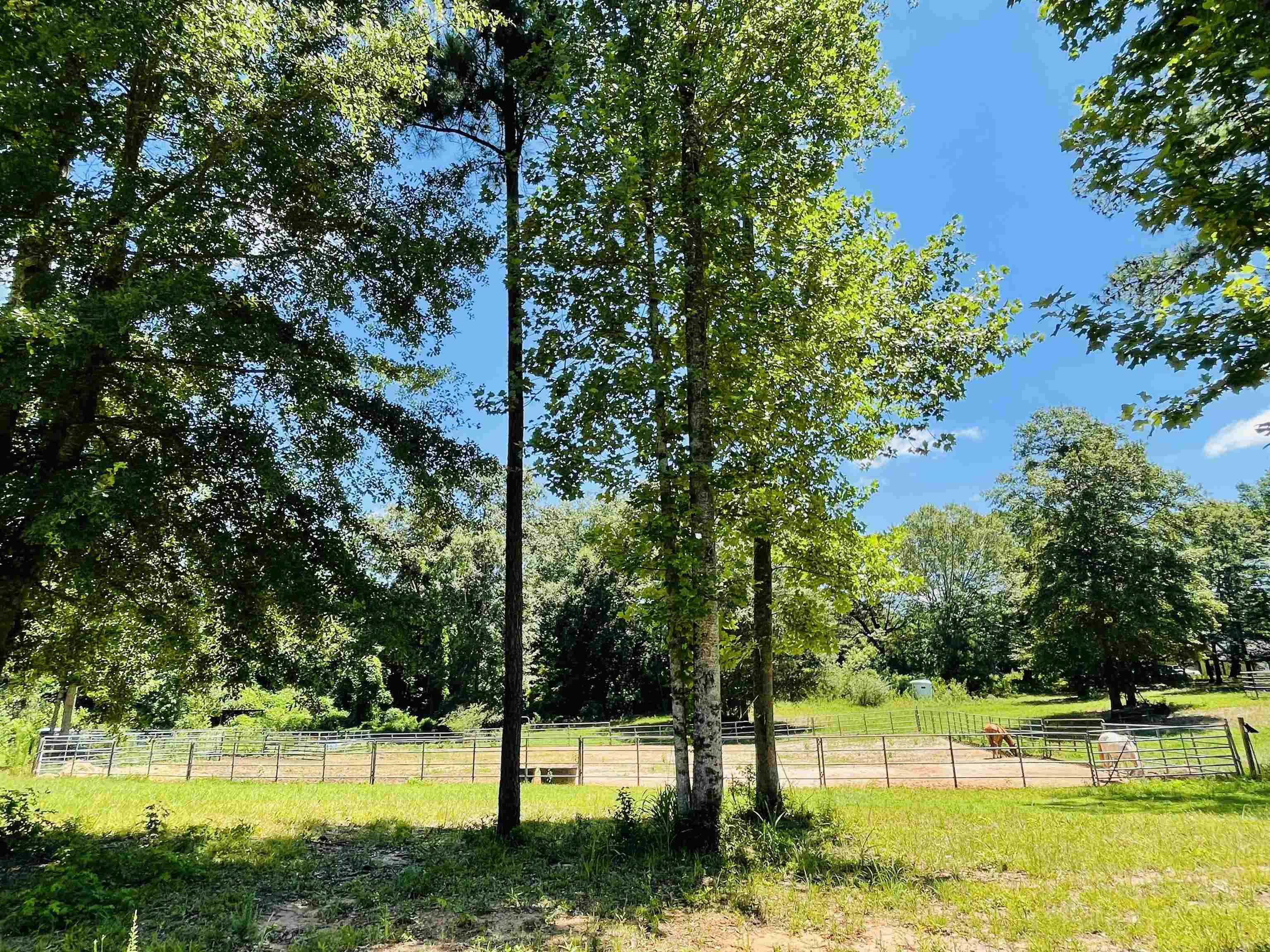 110 Kent Rock Road Loganville, GA 30052 - Photo 9 of 13 a view of a swimming pool with a yard