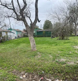a view of a yard in front of a house with large trees