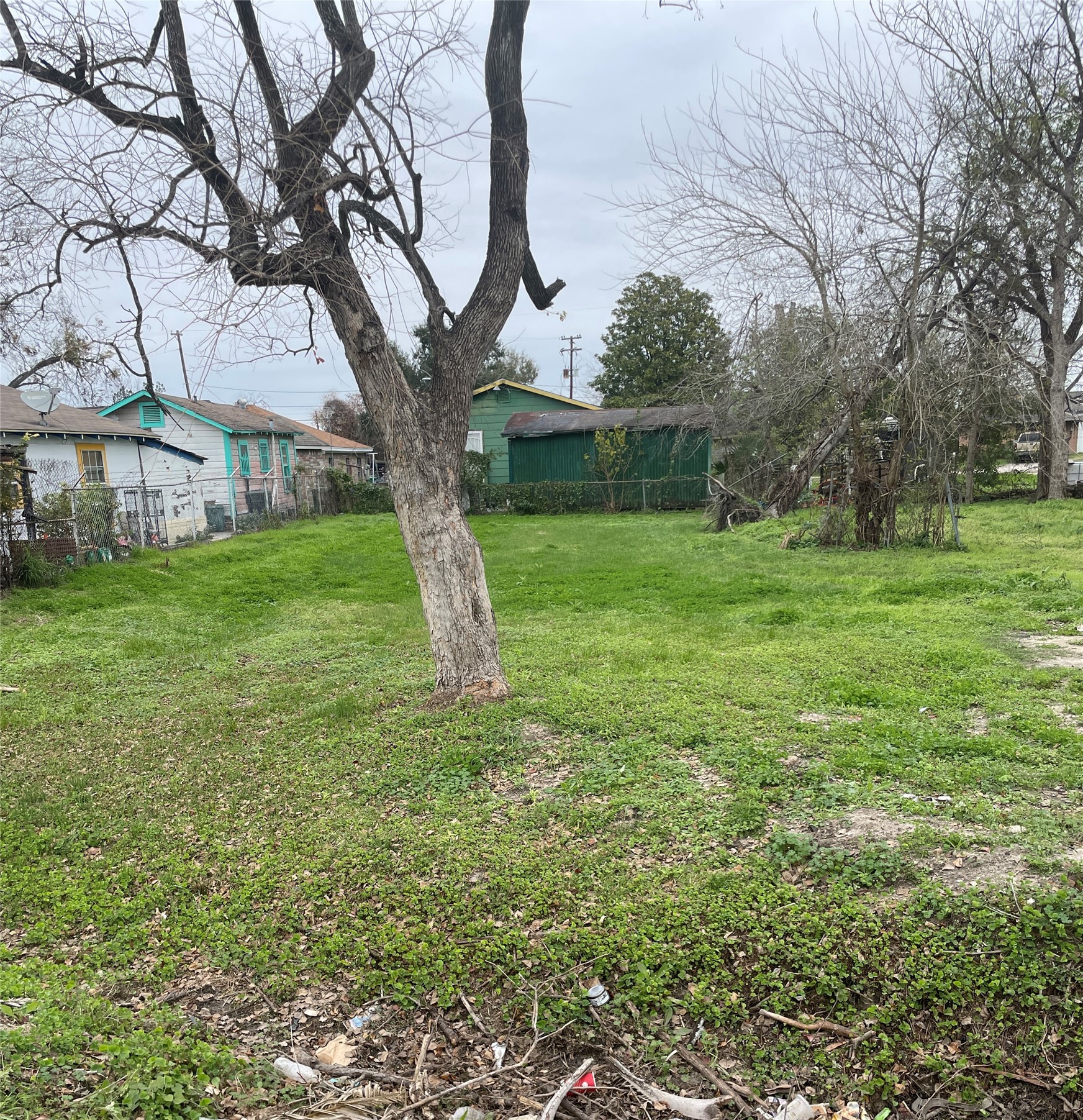 2608 Wayne Street Houston, TX 77026 - Photo 1 of 1 a view of a yard in front of a house with large trees