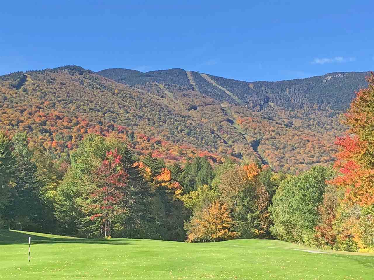 51 Norwegian Lane Road, Unit 51 Warren, VT 05674 - Photo 1 of 20