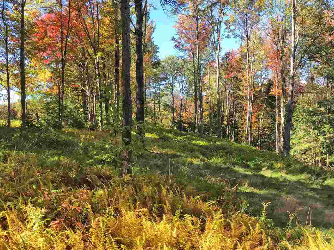51 Norwegian Lane Road, Unit 51 Warren, VT 05674 - Photo 2 of 20