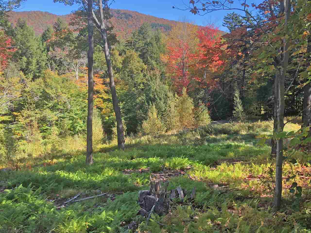 51 Norwegian Lane Road, Unit 51 Warren, VT 05674 - Photo 11 of 20