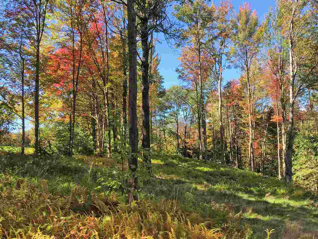 51 Norwegian Lane Road, Unit 51 Warren, VT 05674 - Photo 18 of 20