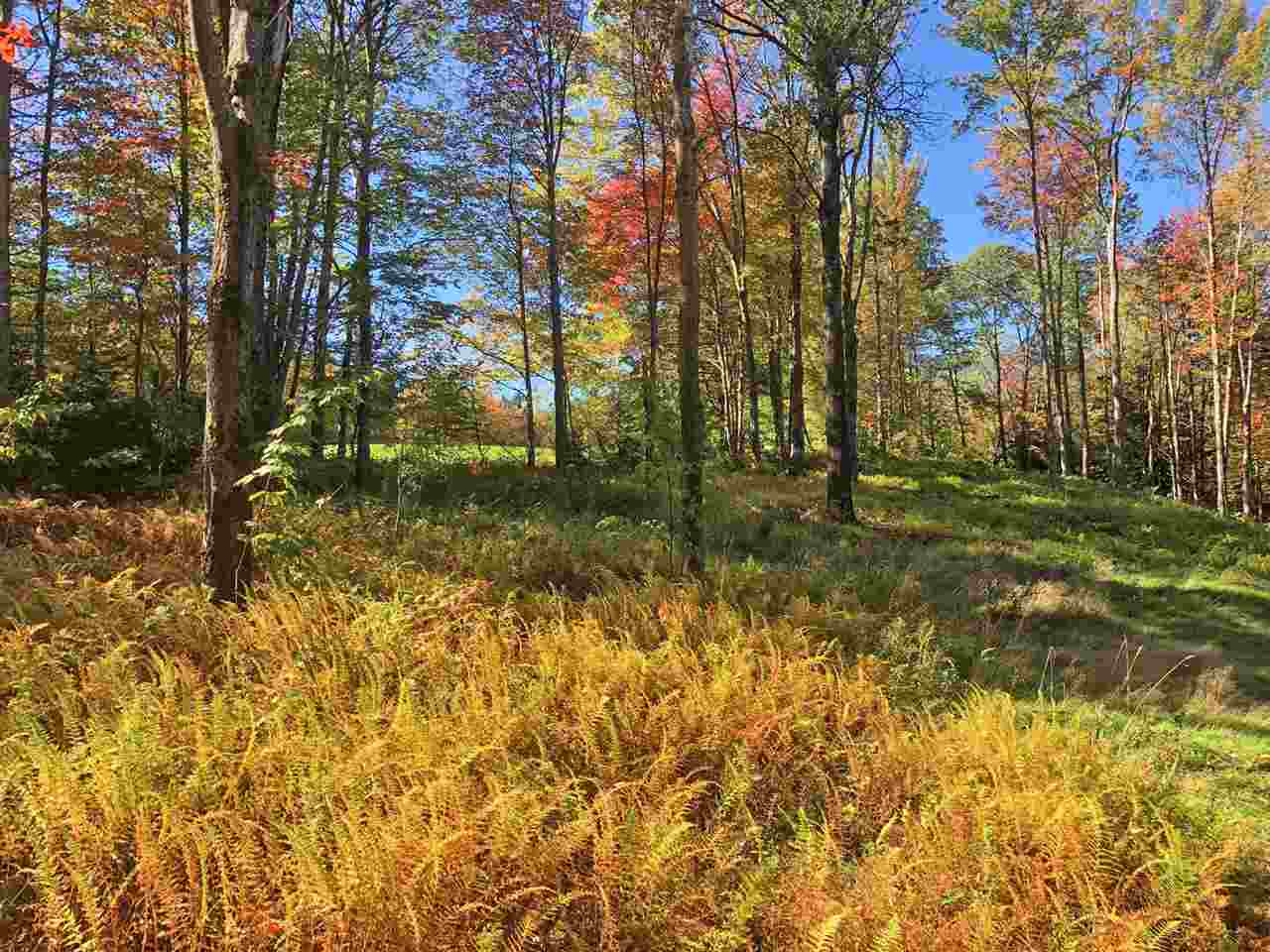51 Norwegian Lane Road, Unit 51 Warren, VT 05674 - Photo 20 of 20