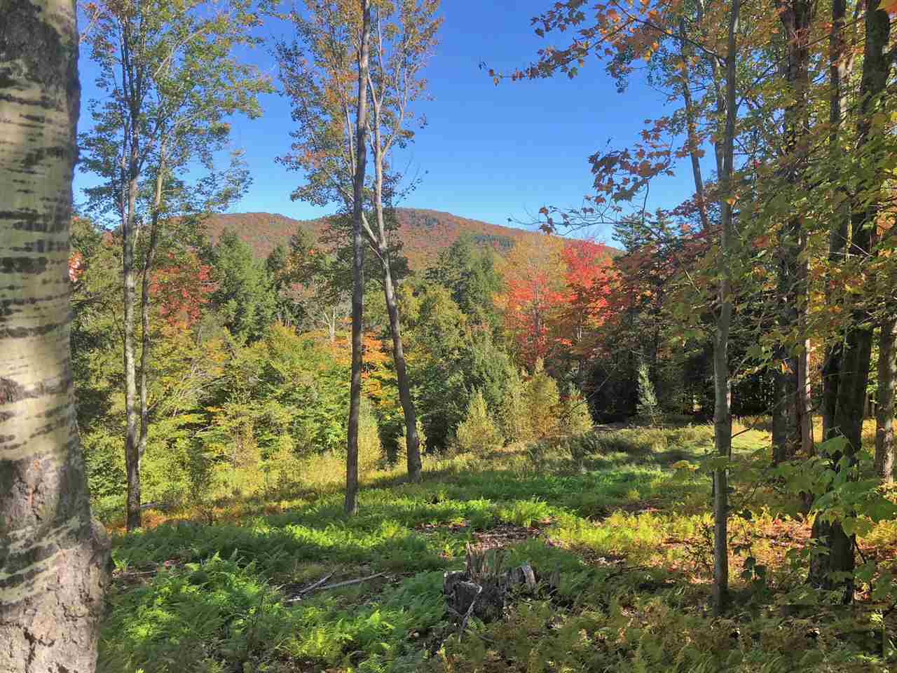 51 Norwegian Lane Road, Unit 51 Warren, VT 05674 - Photo 3 of 20