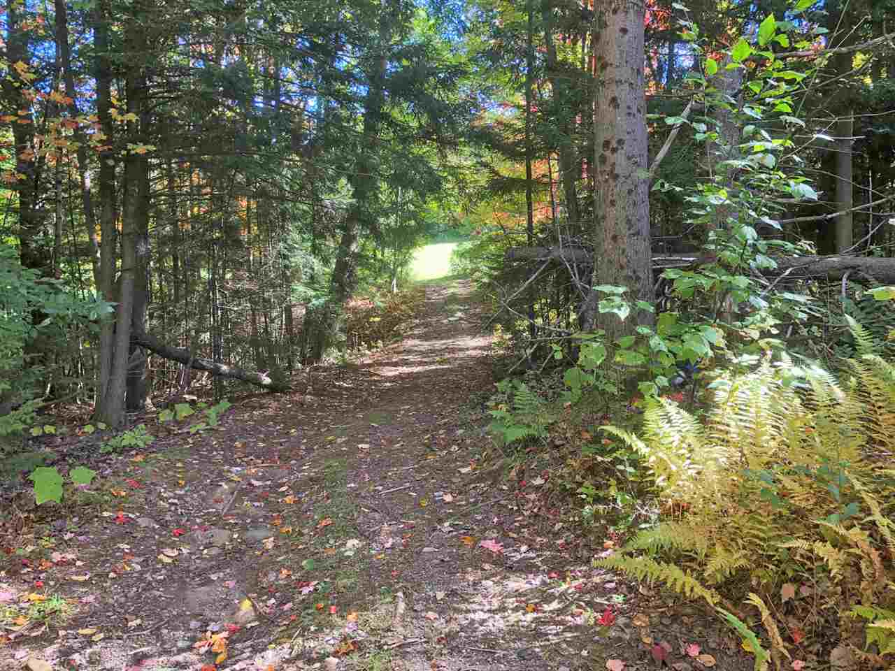 51 Norwegian Lane Road, Unit 51 Warren, VT 05674 - Photo 4 of 20