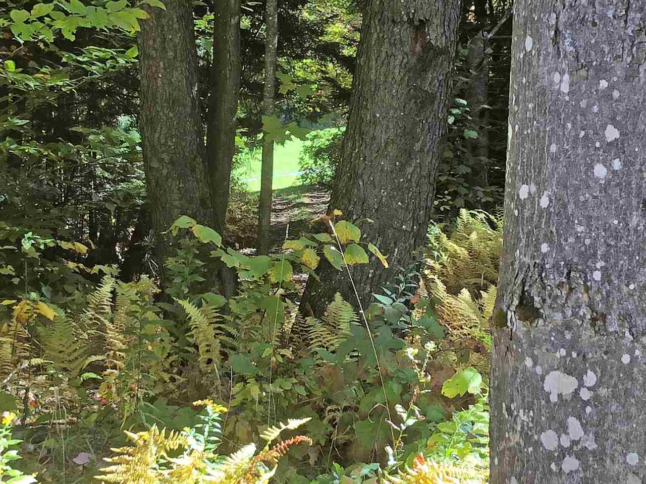 51 Norwegian Lane Road, Unit 51 Warren, VT 05674 - Photo 5 of 20