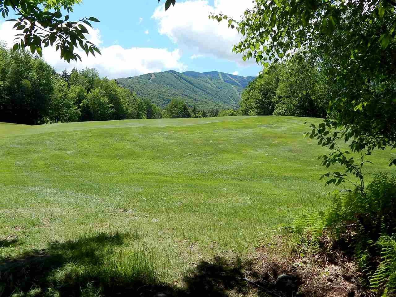 51 Norwegian Lane Road, Unit 51 Warren, VT 05674 - Photo 6 of 20