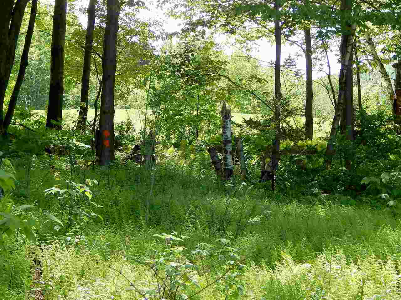 51 Norwegian Lane Road, Unit 51 Warren, VT 05674 - Photo 7 of 20
