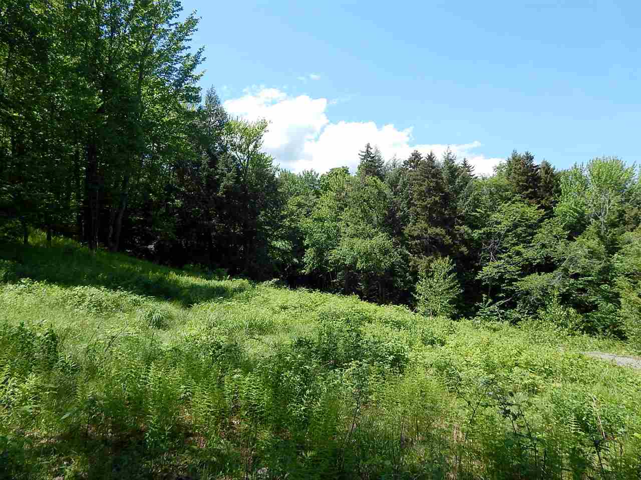 51 Norwegian Lane Road, Unit 51 Warren, VT 05674 - Photo 8 of 20
