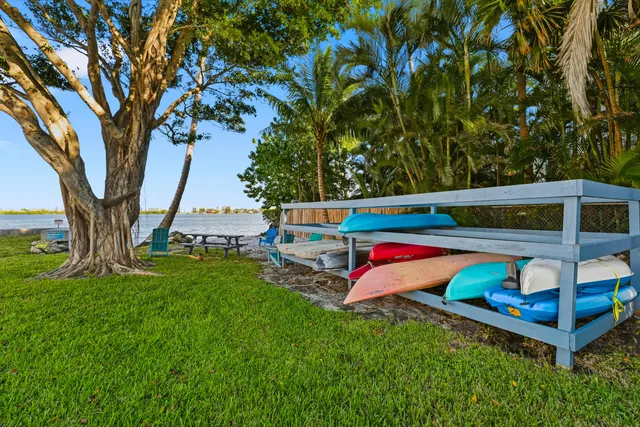 a view of a park with large trees
