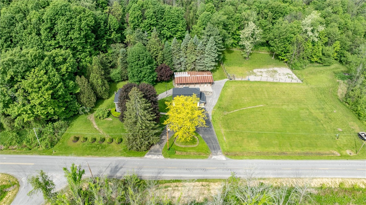 3369 Parker Road Marion, NY 14505 - Photo 46 of 48