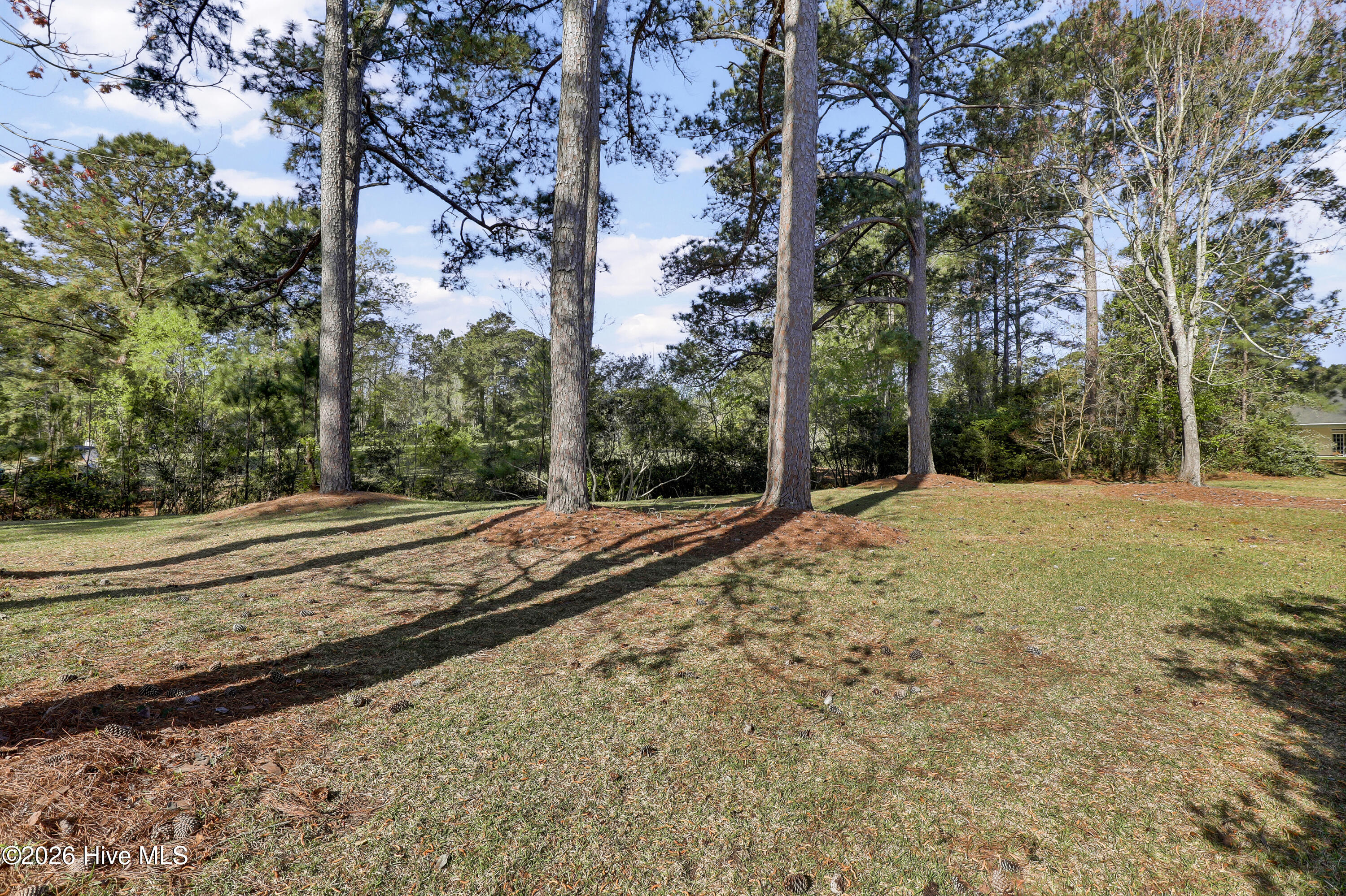 702-488 Azalea Drive Hampstead, NC 28443 - Photo 27 of 34 6G8A0467