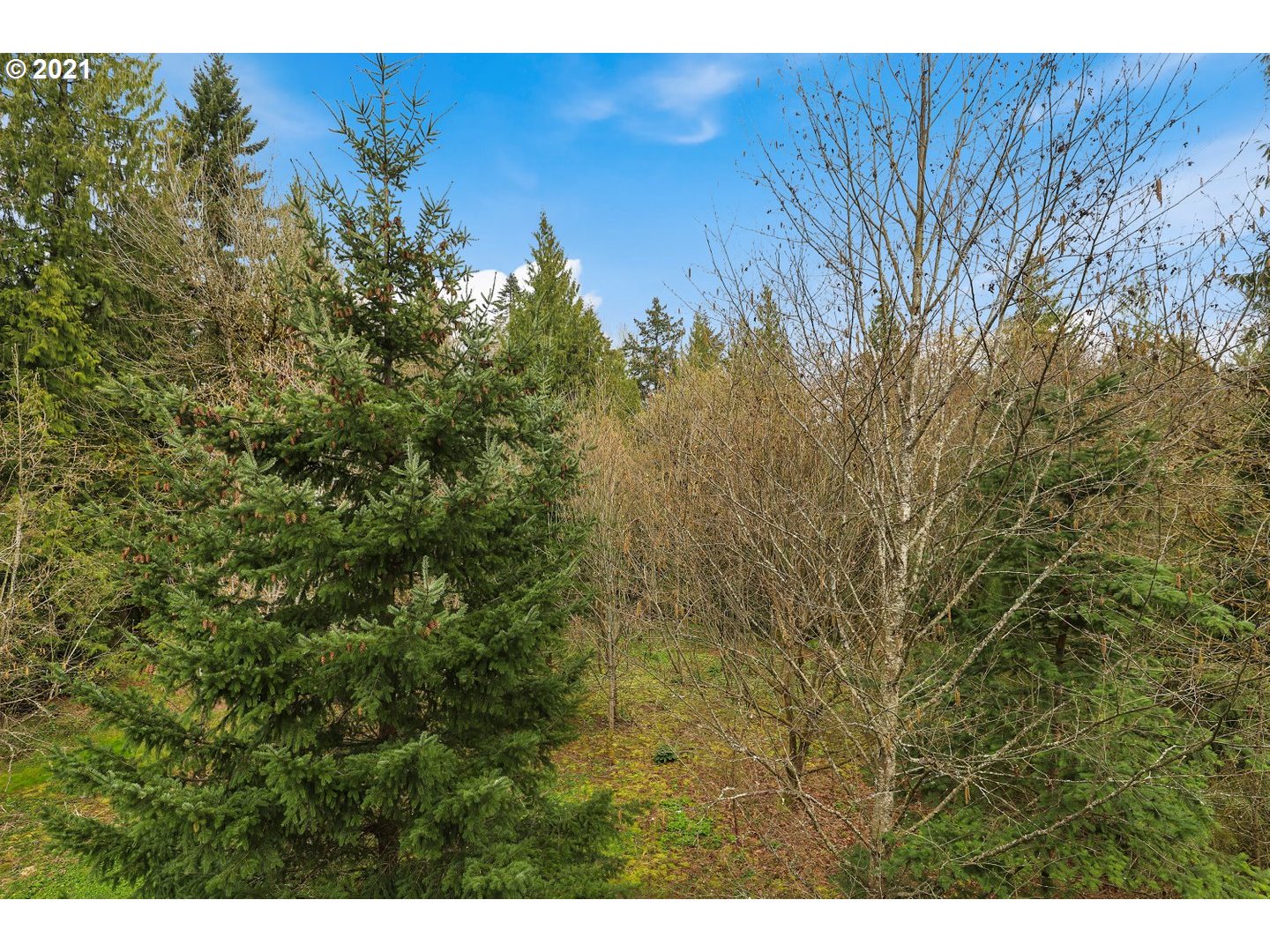 17021 Northeast 33rd Avenue Ridgefield, WA 98642 - Photo 31 of 32 Gallery Image 31