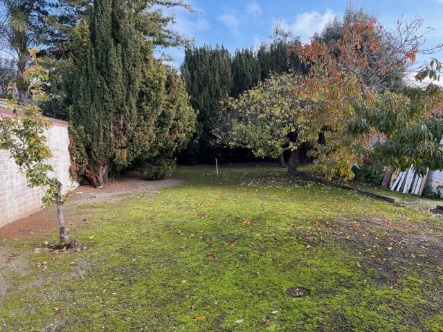 43518 Bryant Street Fremont, CA 94539 - Photo 3 of 5 a view of a yard with a tree