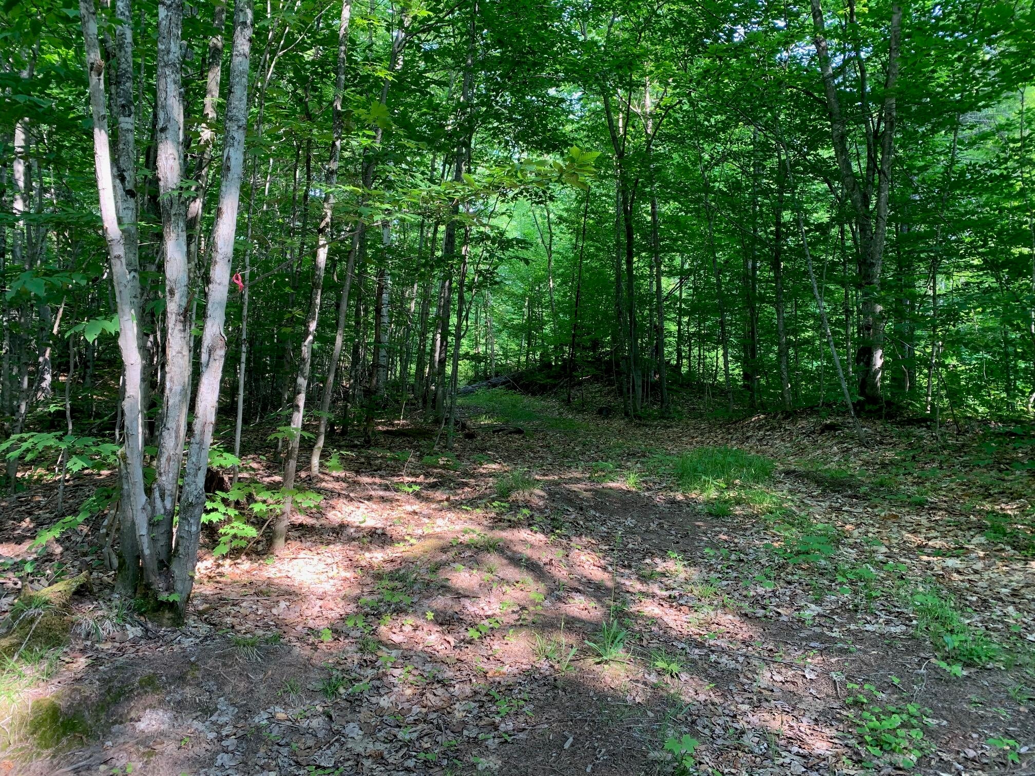 14770 North Maple Block Road Paradise, MI 49768 - Photo 18 of 20 Gallery Image 18