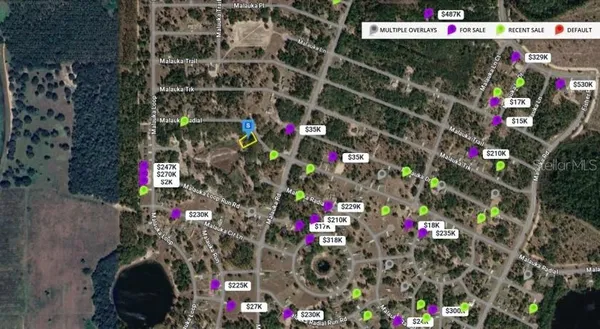 $13,900 | Malauka Radiel, Ocklawaha, FL 32179
