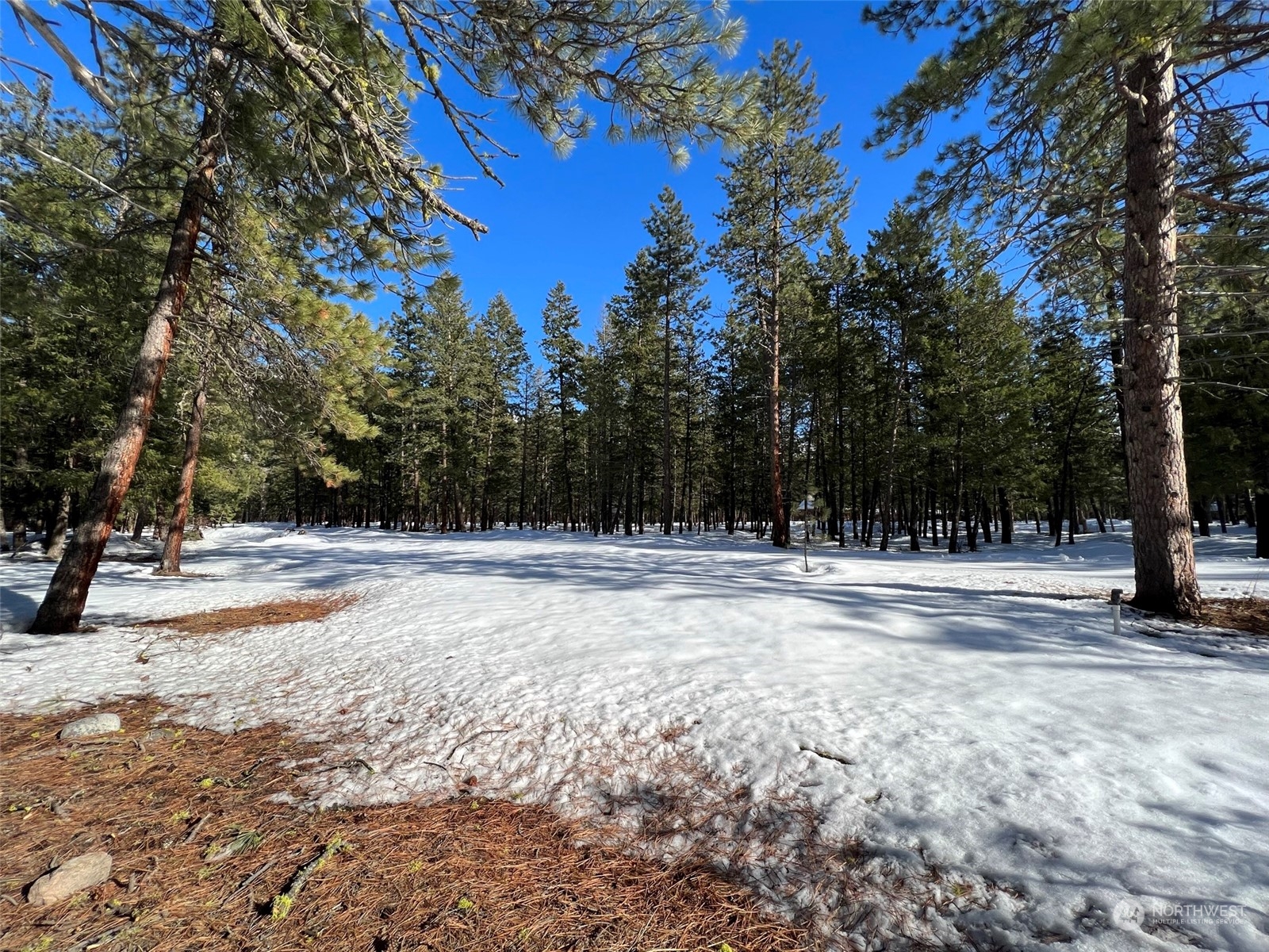 8 Nellas Place Winthrop, WA 98862 - Photo 12 of 25 a view of a yard with a tree