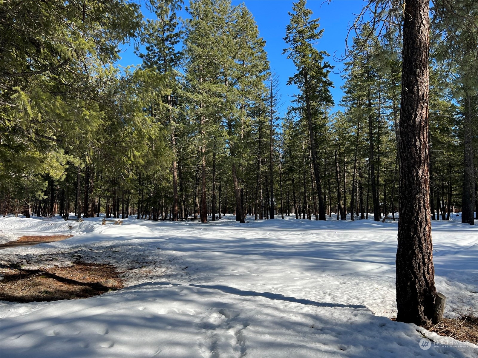 8 Nellas Place Winthrop, WA 98862 - Photo 13 of 25 a view of a backyard of the house