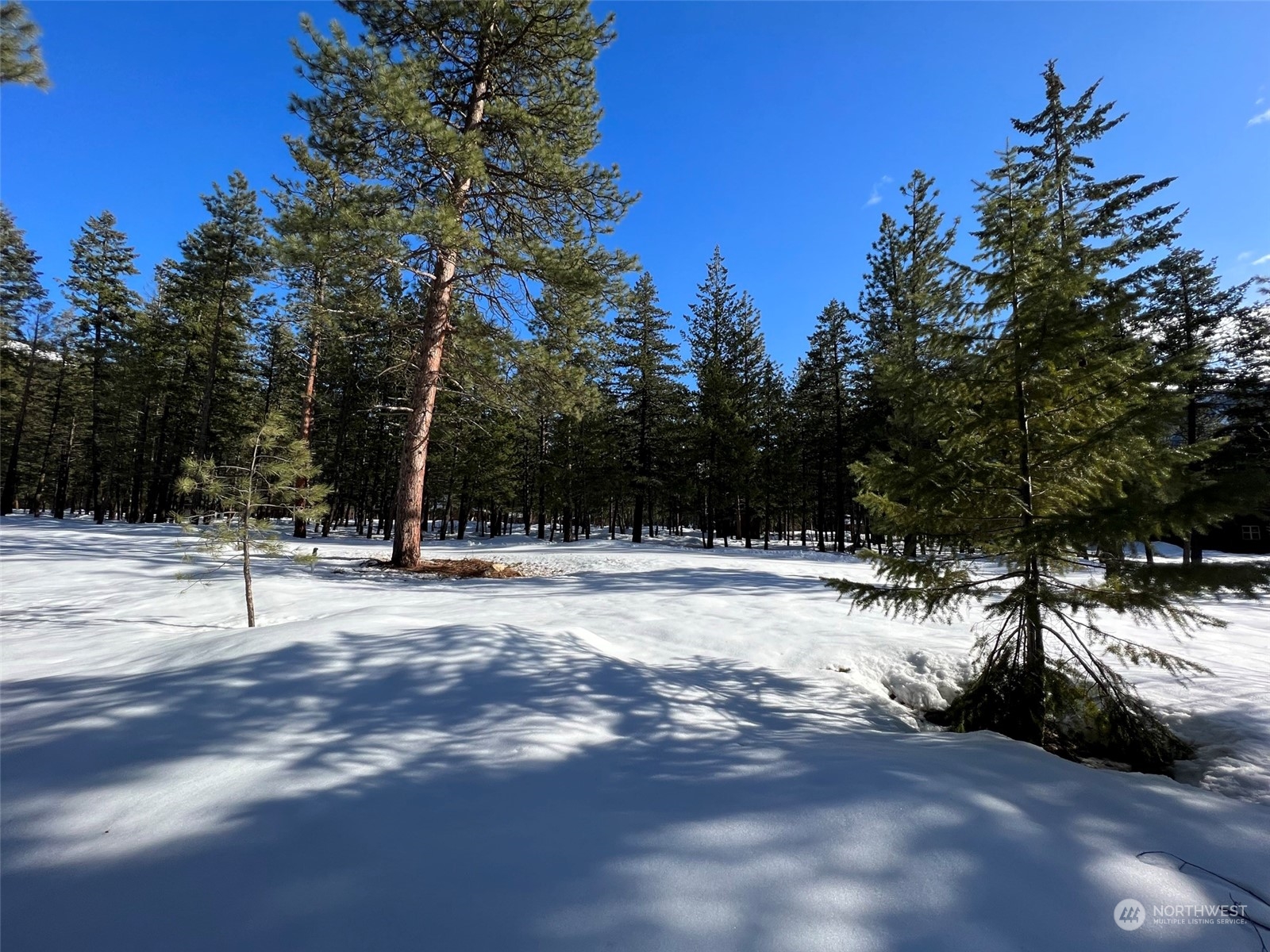 8 Nellas Place Winthrop, WA 98862 - Photo 14 of 25 a view of a yard with a tree