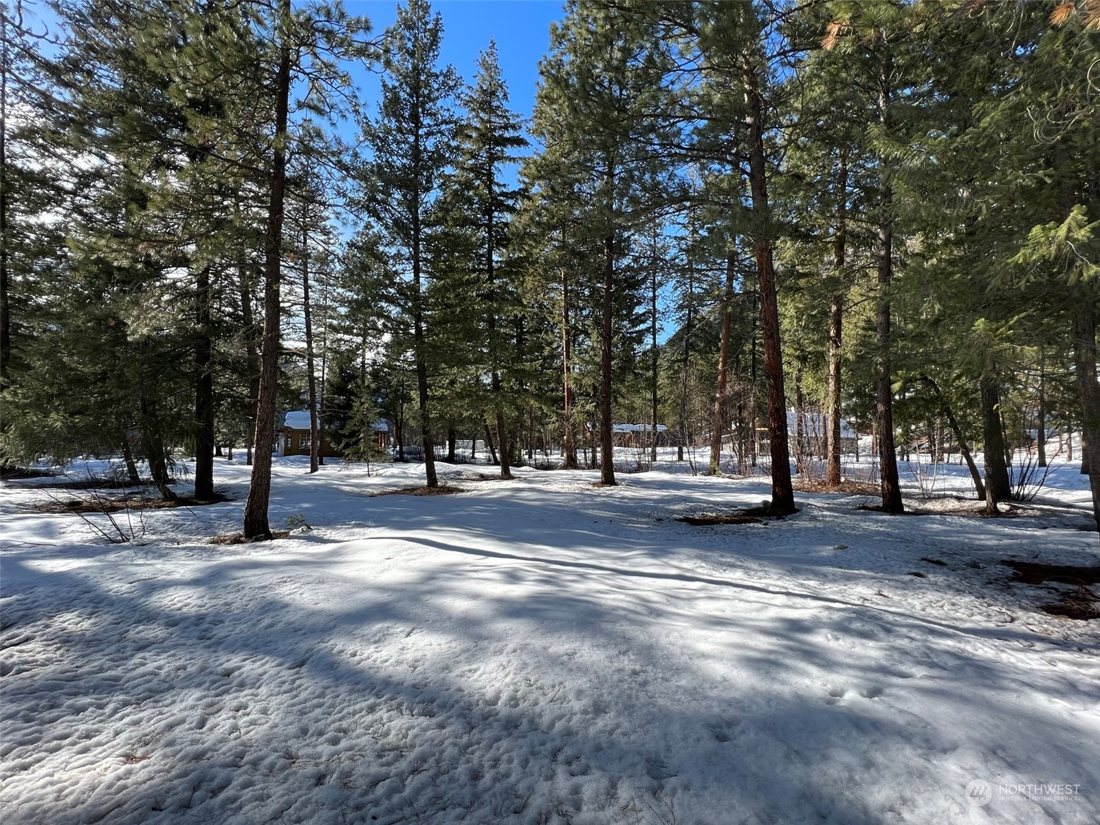 8 Nellas Place Winthrop, WA 98862 - Photo 16 of 25 a view of a tree in the middle of a yard