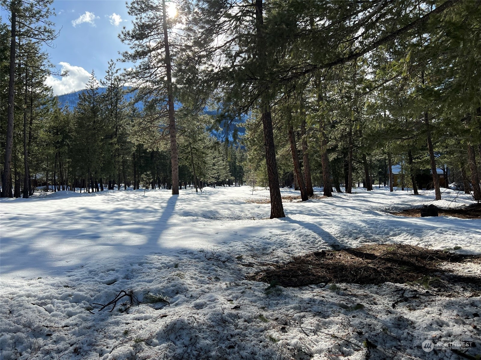 8 Nellas Place Winthrop, WA 98862 - Photo 17 of 25 a view of covered with snow