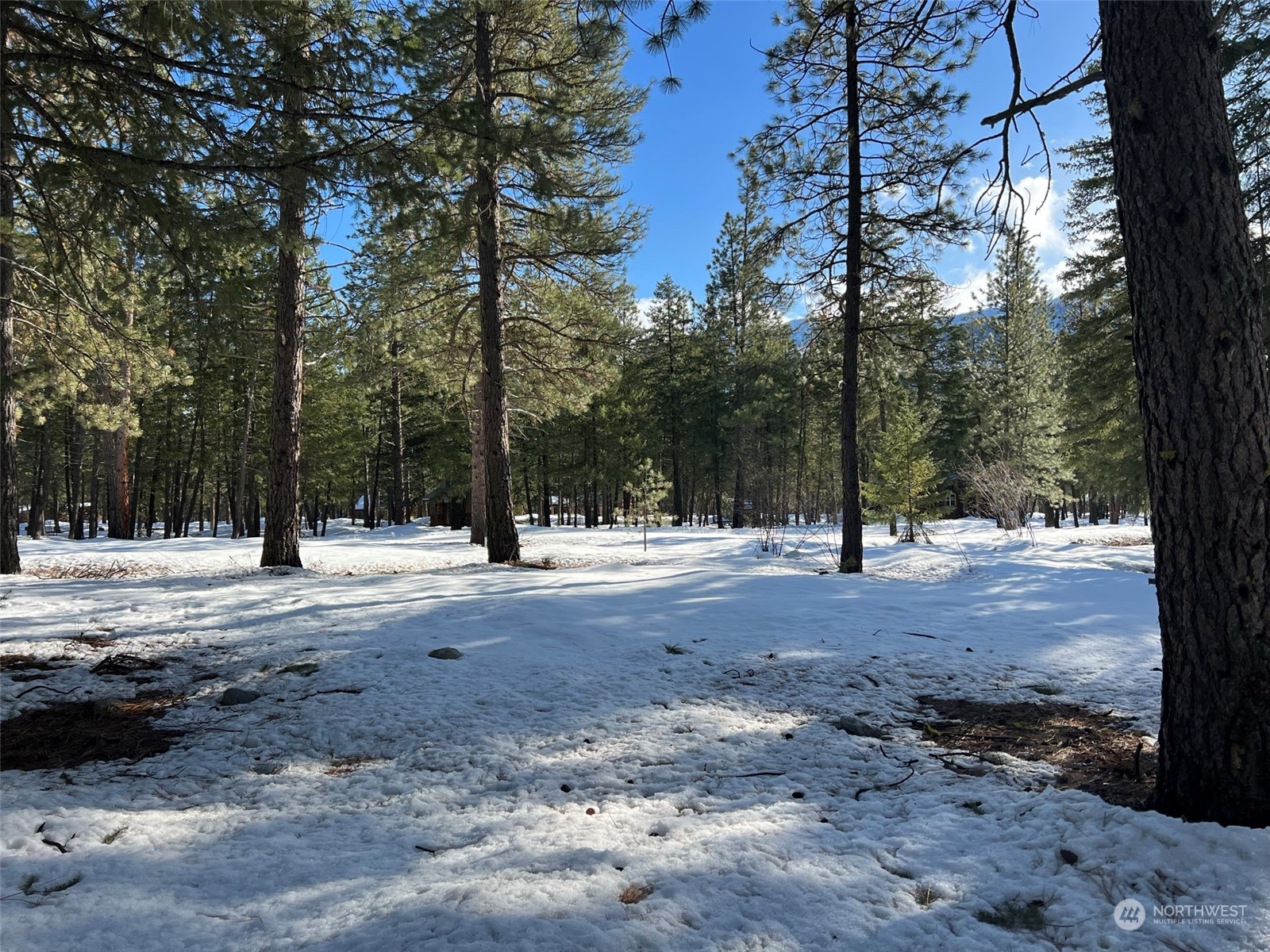8 Nellas Place Winthrop, WA 98862 - Photo 18 of 25 a view of road with trees