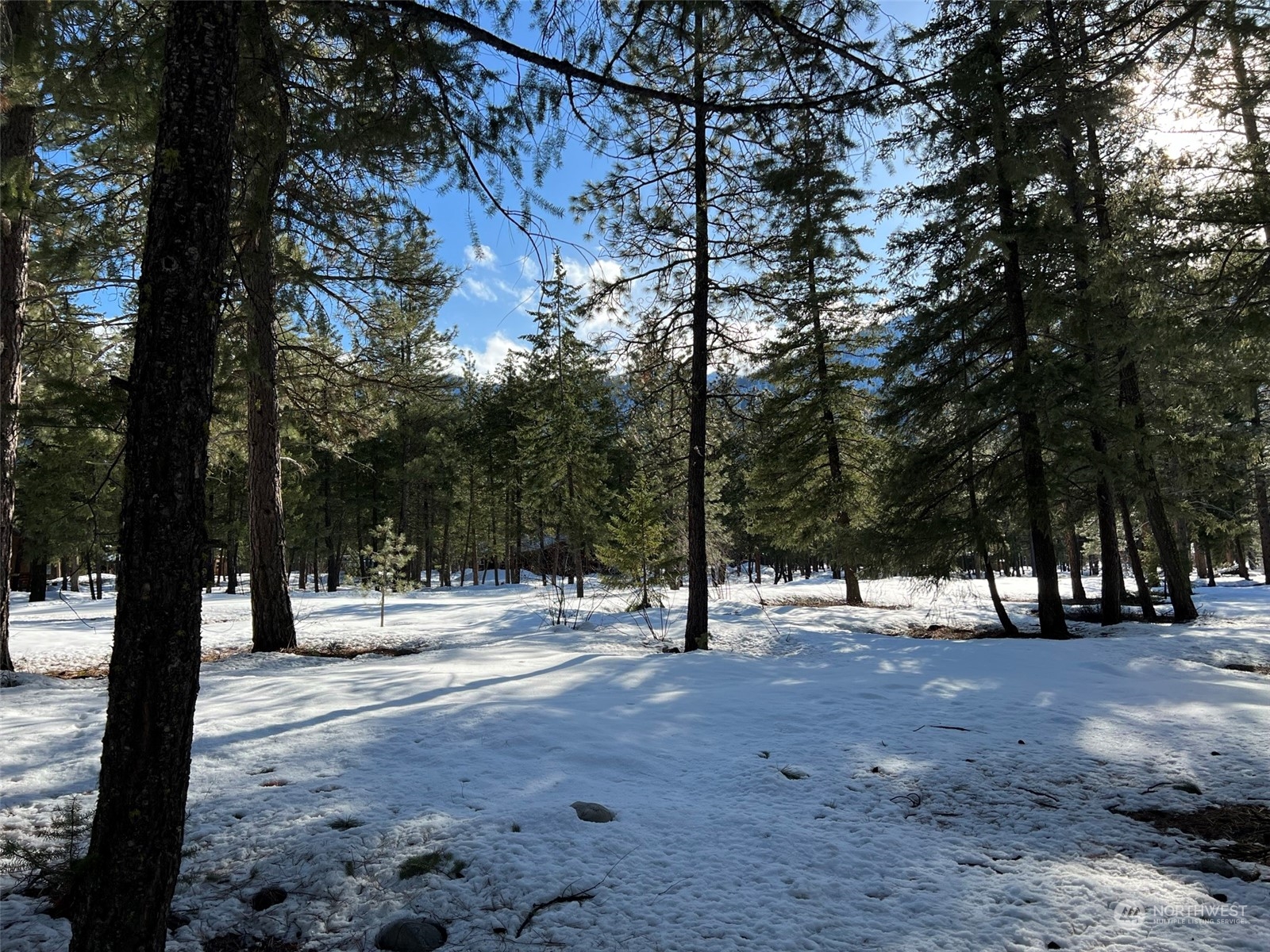 8 Nellas Place Winthrop, WA 98862 - Photo 20 of 25 a view of road with trees
