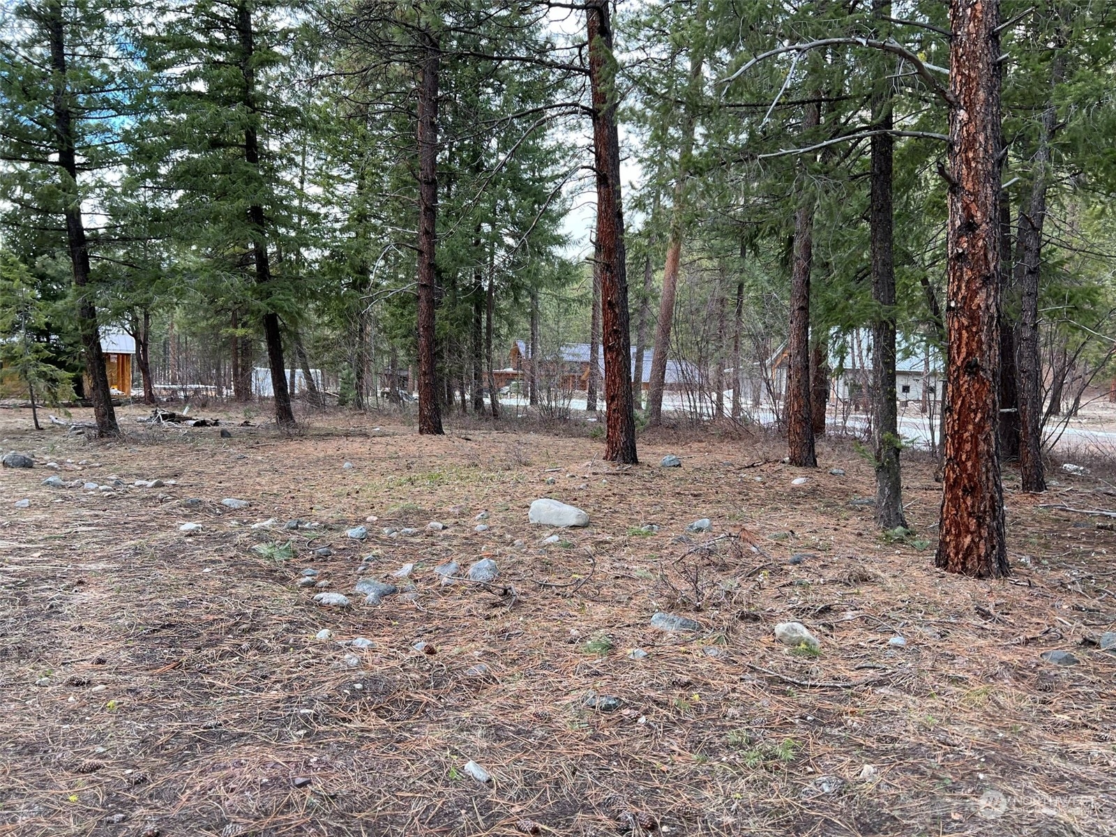 8 Nellas Place Winthrop, WA 98862 - Photo 2 of 25 a backyard of a house with lots of trees