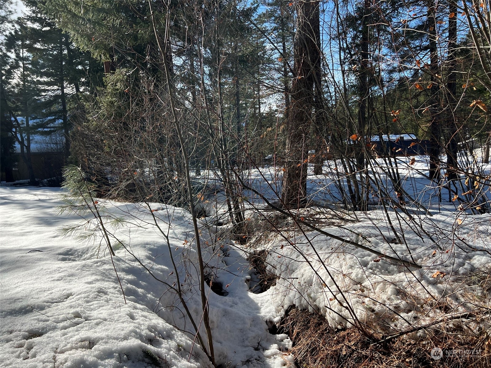 8 Nellas Place Winthrop, WA 98862 - Photo 21 of 25 a view of yard