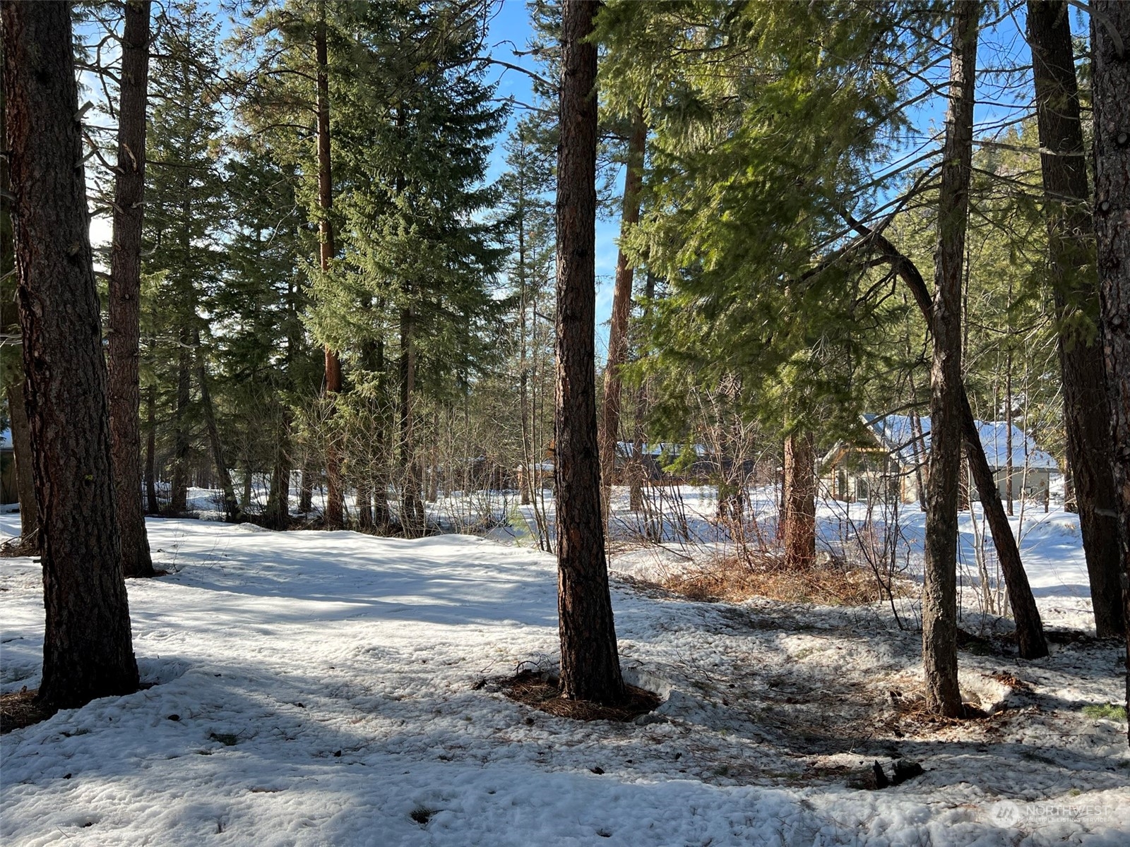 8 Nellas Place Winthrop, WA 98862 - Photo 22 of 25 a view of a road with large trees