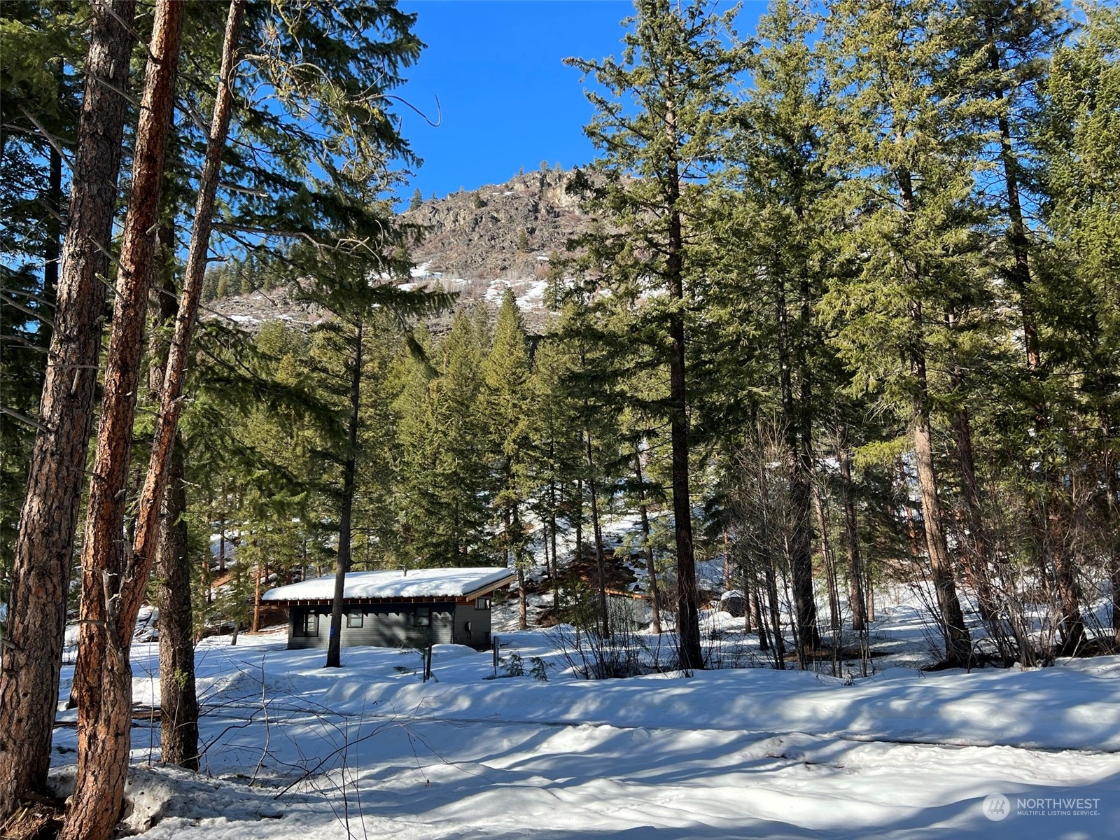 8 Nellas Place Winthrop, WA 98862 - Photo 23 of 25 a view of outdoor space with trees