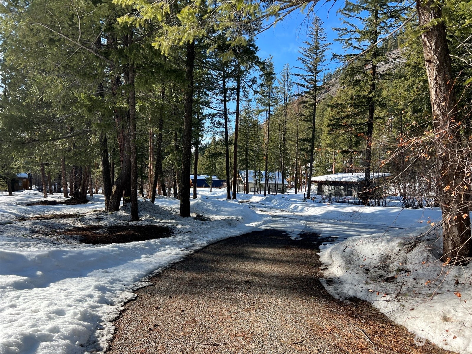 8 Nellas Place Winthrop, WA 98862 - Photo 24 of 25 a view of a yard with large trees